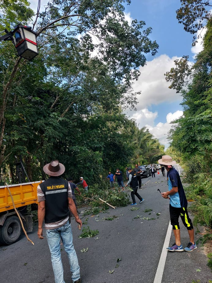 ตัดกิ่่งไม้สองข้างทางถนนสายท่าน้อย-ท่าสำเภา